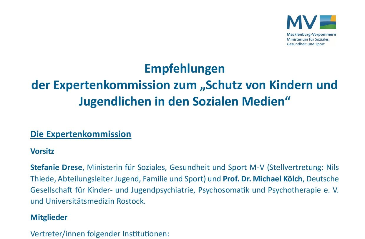 Medienbildung als dauerhafte Aufgabe: Empfehlungen zum Schutz junger Menschen in sozialen Medien